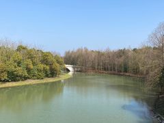 -上海海湾国家森林公园