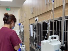 -德元·美联众合24小时动物医院(总院)