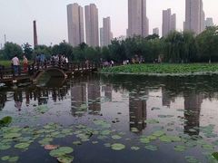 -前关湿地公园