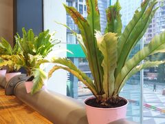 -鹿岛会员店 (龙湖三千集天街店)