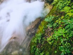 -西岭雪山大飞水景区