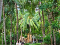 -三亚湾海居铂尔曼度假酒店