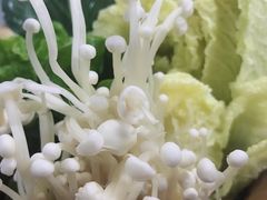 -美兰春记食店·龙舌坡红烧牛肉