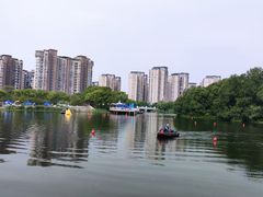 -新江湾城公园
