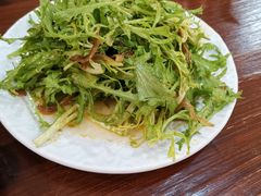 凉拌苦菊-阿拉木汗餐厅(山大路店)