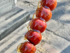 -杏园餐厅(阜成门店)