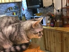 -隅cafe(傅厚岗店)