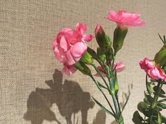 -陶德砂锅(蜀汉路店)