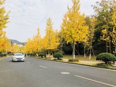 -浙江农林大学(东湖校区)