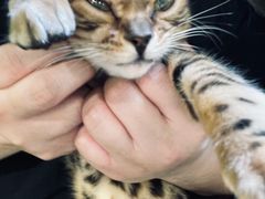 -柯斗斗主题餐厅·狗咖·围炉煮茶·茶饮(国瑞升平里店)