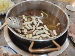 -乳仔牛牦牛汤锅 烤羊排(松潘古城店)