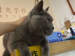 -觅时光手作·香薰·拼豆豆·陶艺DIY