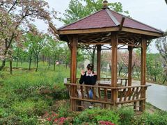 -绵阳盛世樱花悠乐谷