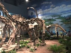 -自贡恐龙博物馆