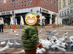 -中粮·祥云小镇