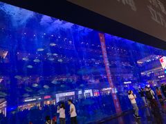 -成都浩海立方海洋公园