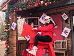 -禧宴Joyous Restaurant(禧园店)