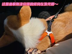 -FAELING PETS美天灵宠物(合生汇店)