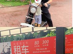 入口处租车-漳州滨海火山岛自然生态风景区