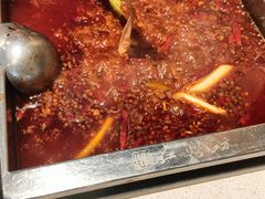 -红鼎坊·老成都火锅(新南门店)