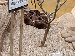 -昆明动物园