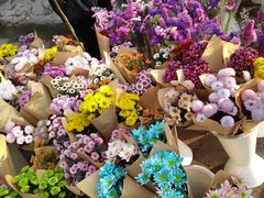 -三圣花乡旅游区