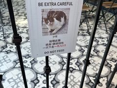 -Chili's Cafe&Bar奇利斯(滨江店)