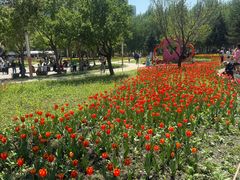 -长春公园(普阳街道)