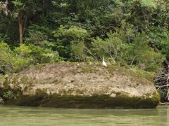 -九曲溪竹筏码头