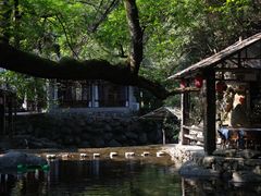 -白云源风景区