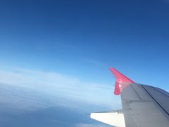 -麦当劳(禄口机场T2航站楼)