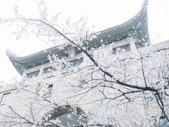 -武汉大学-樱园