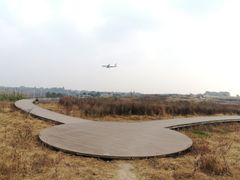 -空港花田景区