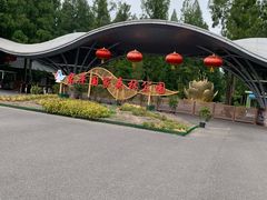 -东平国家森林公园