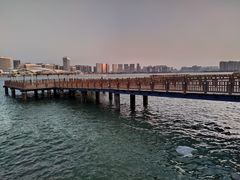 -五缘湾湿地公园