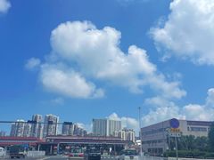 -濠轩阁特色生蚝火锅(水湾路店)
