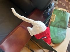 -上海闵行星河湾酒店