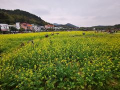 -红山村