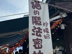 -猫的魔法密林(衣裳街店)