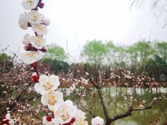 -西安浐灞国家湿地公园