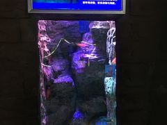 -左海海底世界
