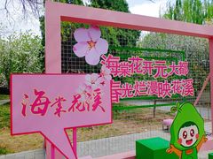 -海棠花溪(元大都城垣遗址公园)