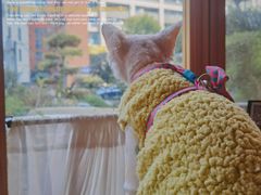 -翠贝卡&Mama Kelly Brunch Coffee(河西店)