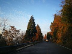 -大围山国家森林公园