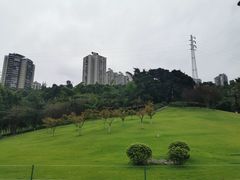 -龙头寺公园