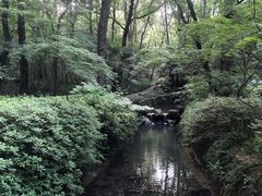 -灵谷景区