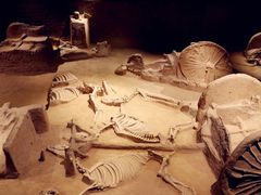 -洛阳周王城天子驾六博物馆