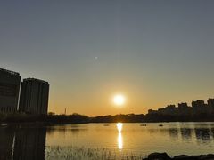 -南翔镇银翔湖公园