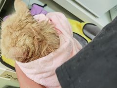 -沐沐家宠物(成寿寺店)