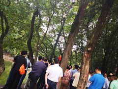 -韶山毛泽东同志故居